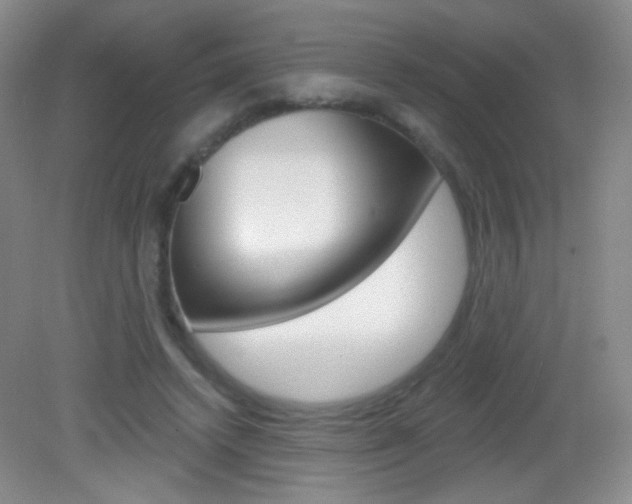 X0000082930448200702011050