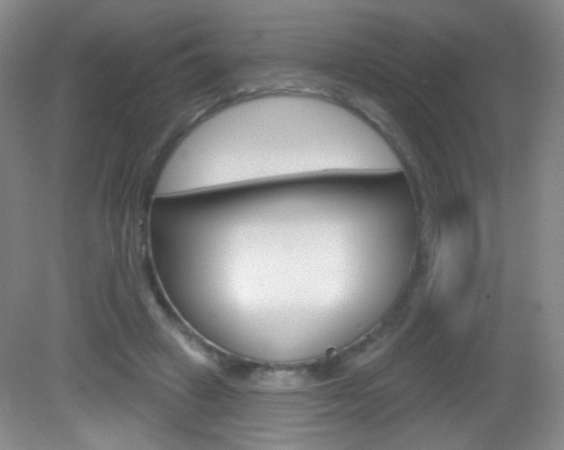 X0000082930449200702011050