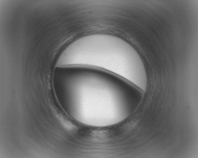 X0000082930450200702011050