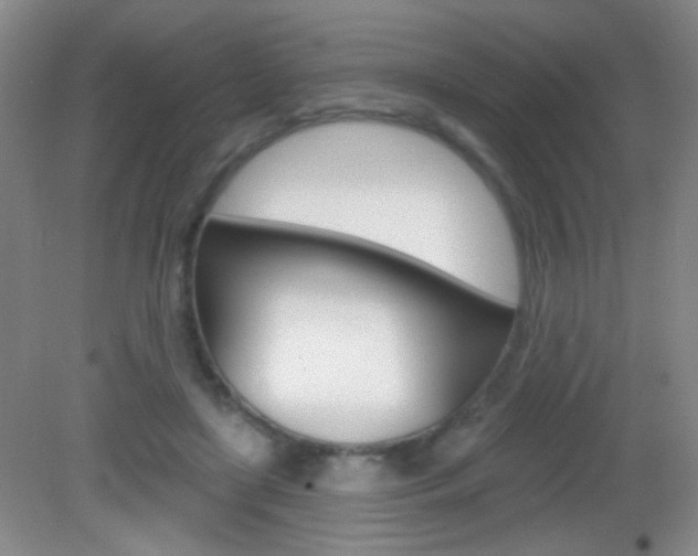 X0000082930451200702011050