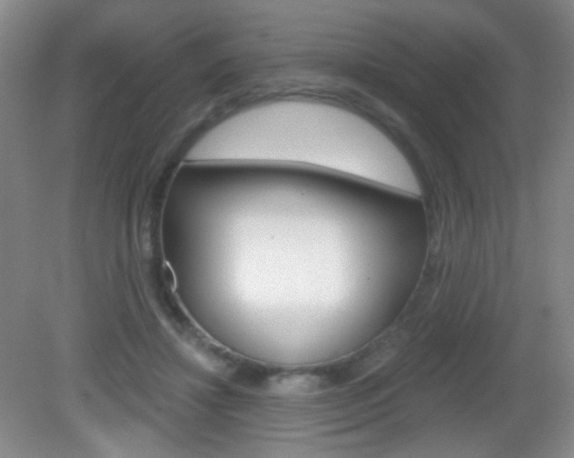 X0000082930452200702011050