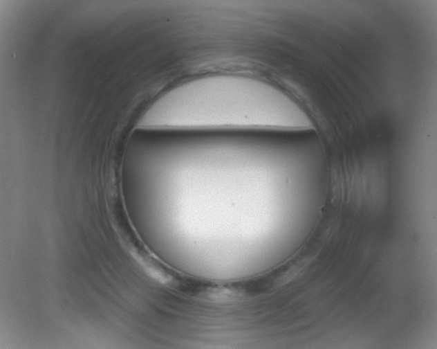 X0000082930453200702011050