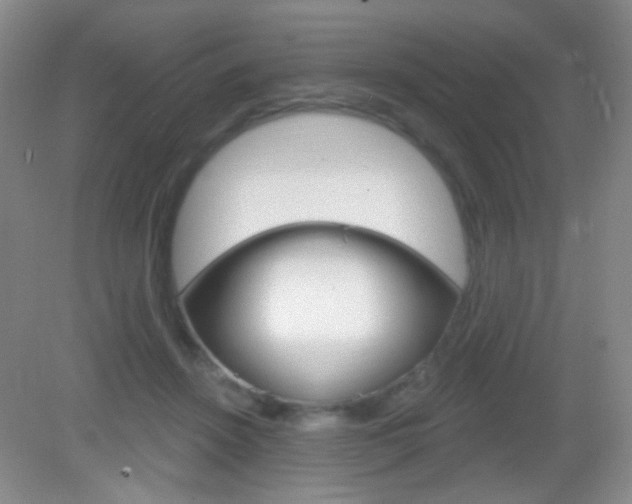 X0000082930456200702011050