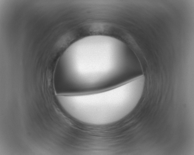 X0000082930458200702011050