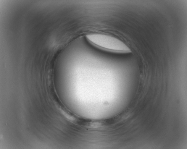 X0000082930462200702011050