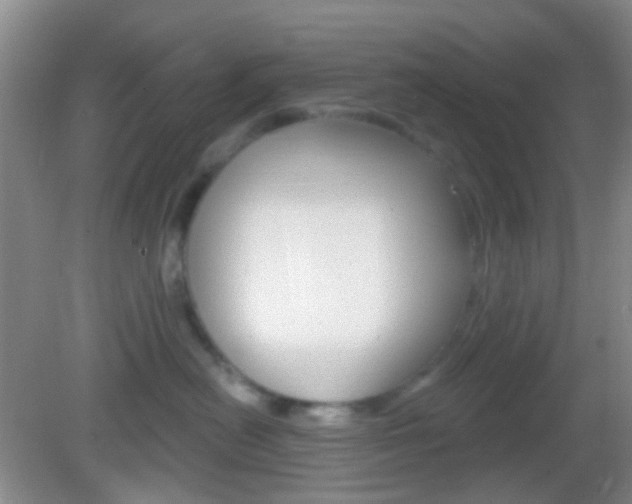 X0000082930478200702011051