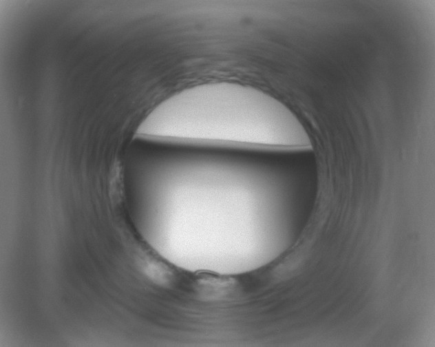 X0000082930480200702011051