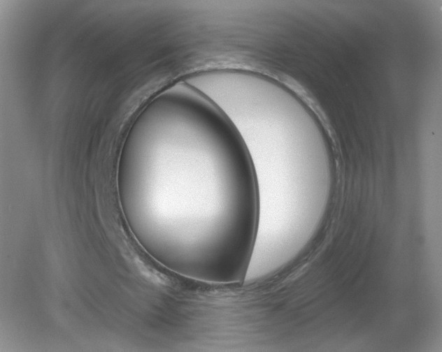 X0000082930481200702011050
