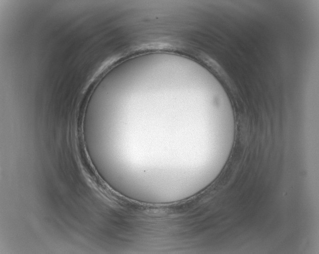 X0000082930482200702011050