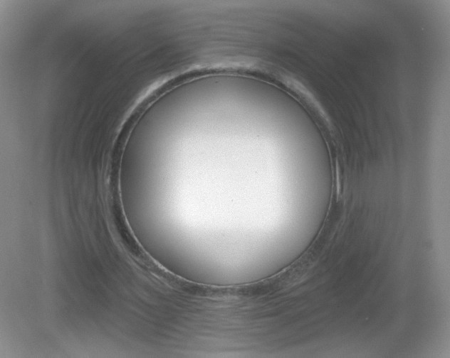 X0000082930483200702011050