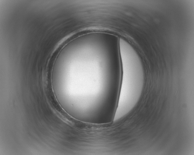 X0000082930484200702011050
