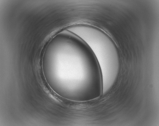 X0000082930485200702011050