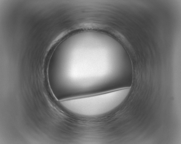 X0000082930488200702011050