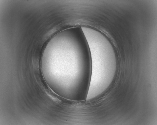 X0000082930489200702011050