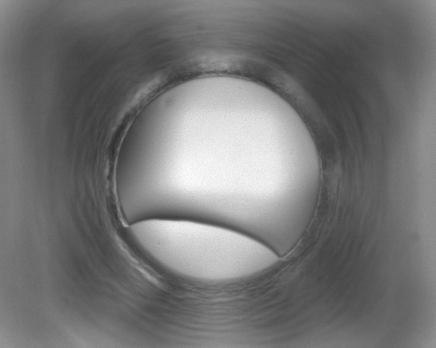 X0000082930490200702011050