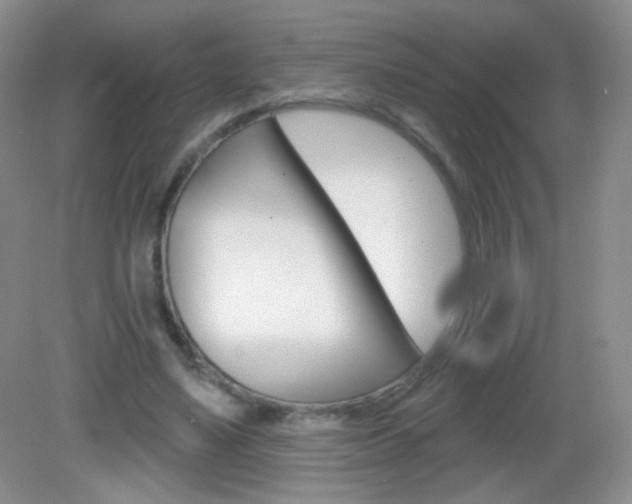 X0000082930491200702011050