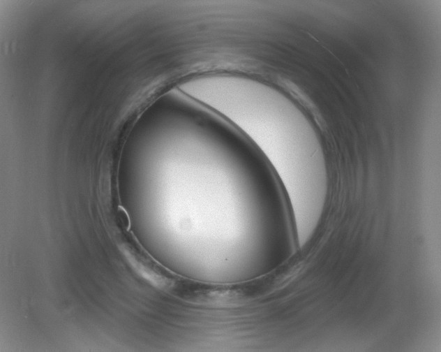 X0000082930493200702011050