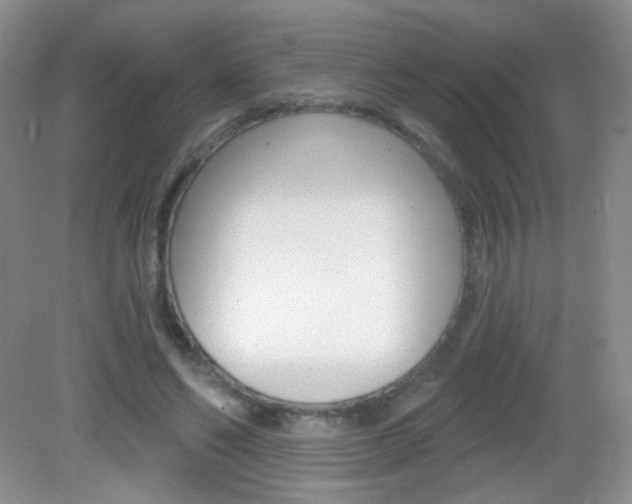 X0000082930494200702011050