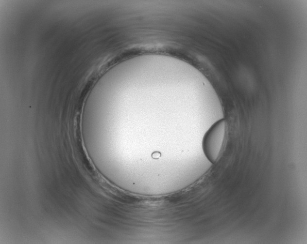 X0000082930495200702011050