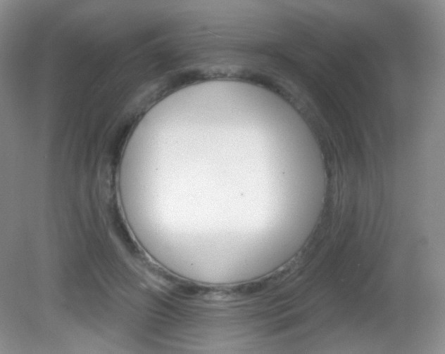 X0000082930498200702011050