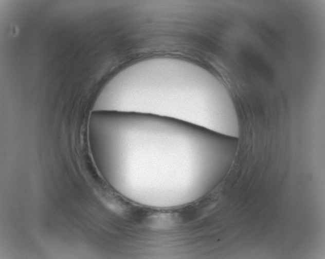 X0000082930499200702011050
