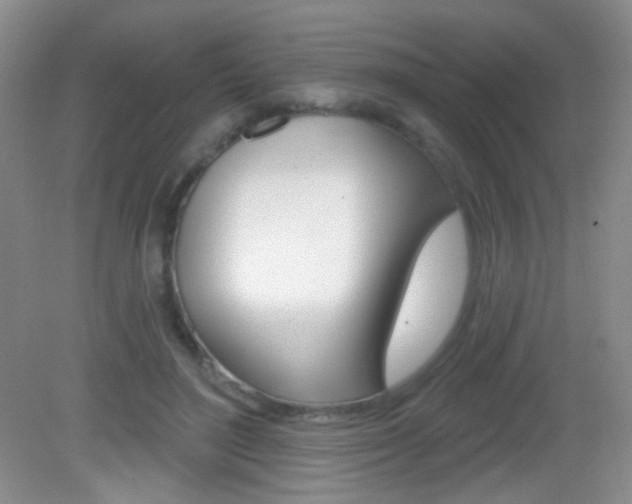 X0000082930500200702011050