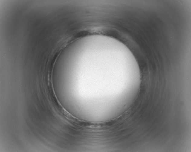 X0000082930502200702011050