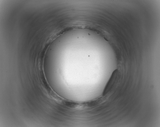 X0000082930504200702011050