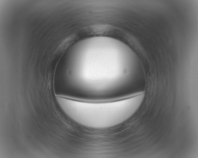 X0000082930505200702011050