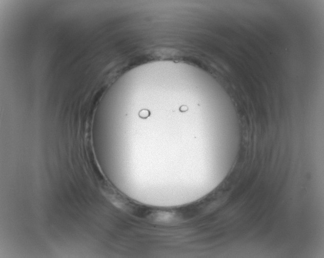 X0000082930507200702011049