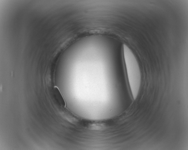 X0000082930508200702011049