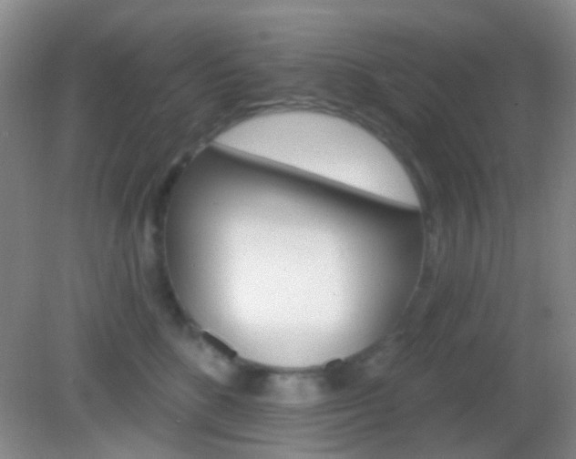 X0000082930520200702011049