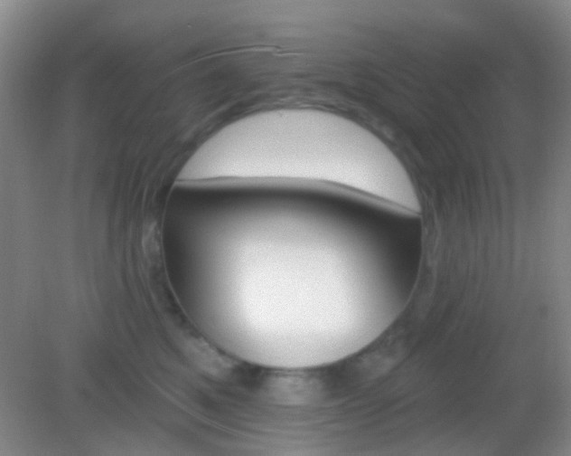 X0000082930521200702011049