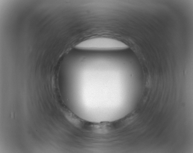 X0000082930524200702011049