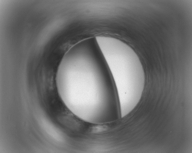 X0000082930525200702011049