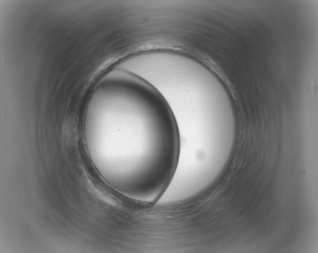 X0000082930530200702011048