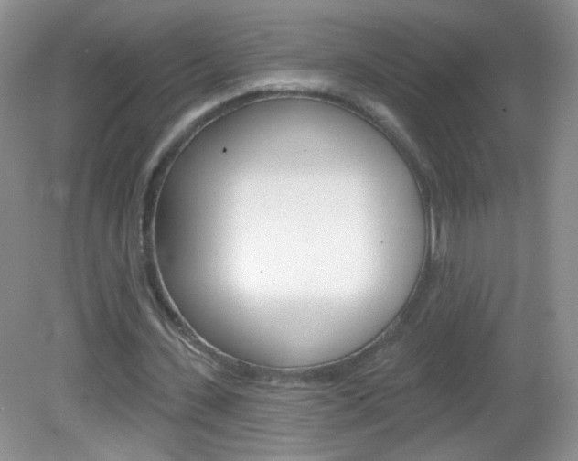 X0000082930531200702011048