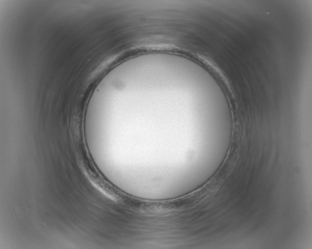 X0000082930533200702011048