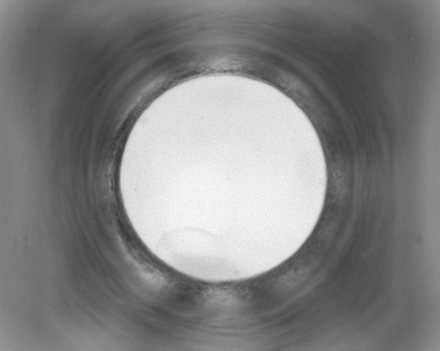 X0000082930534200702011048