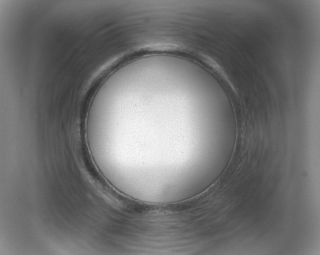 X0000082930535200702011048