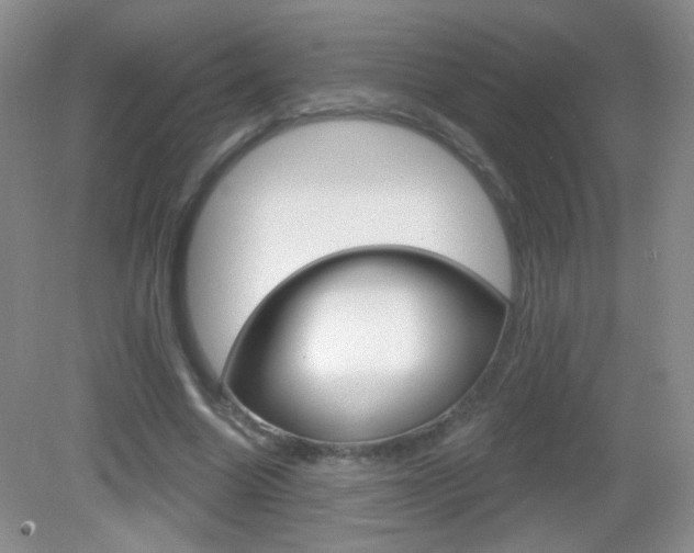 X0000082930538200702011048