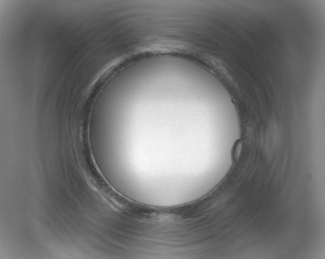 X0000082930539200702011048