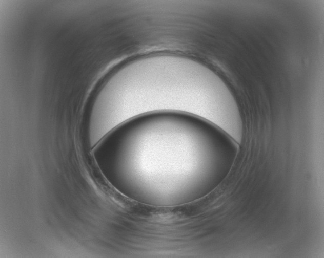 X0000082930540200702011049