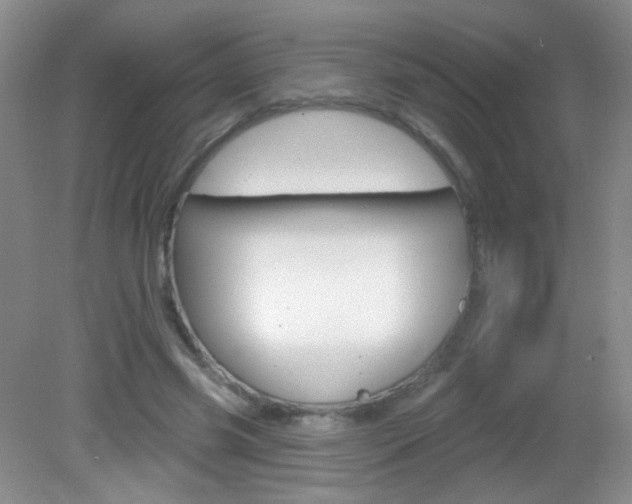 X0000082930541200702011049