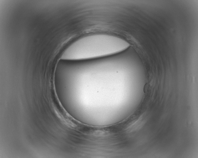 X0000082930542200702011049