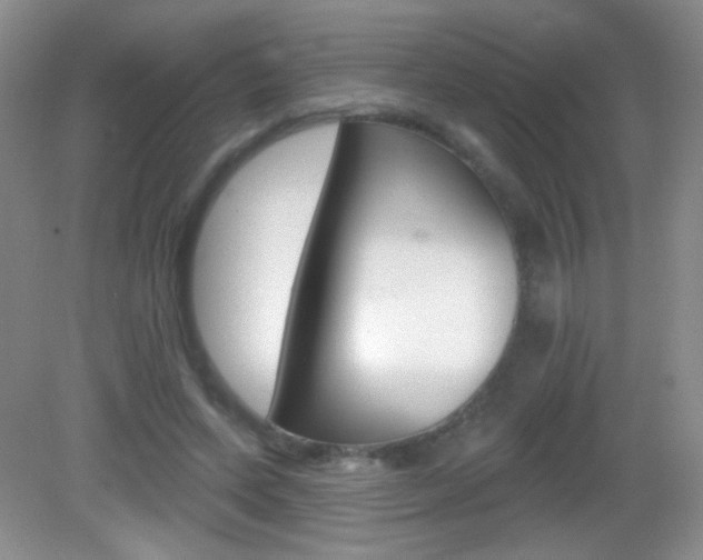 X0000082930543200702011049