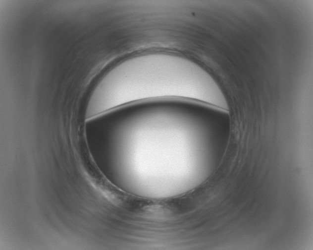 X0000082930544200702011049