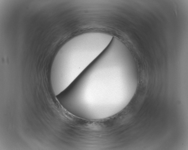 X0000082930545200702011049