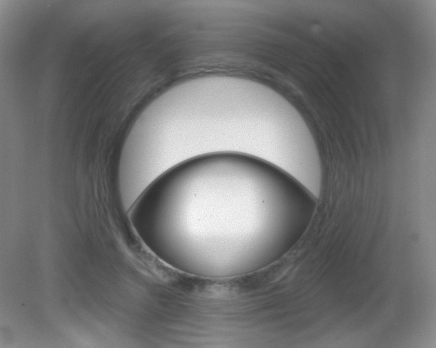 X0000082930546200702011049