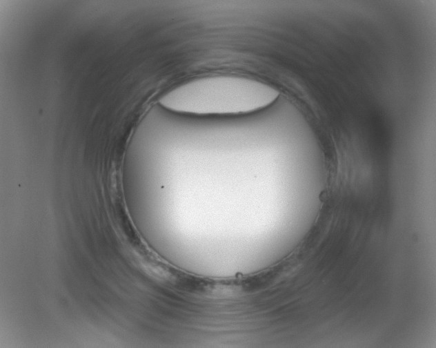 X0000082930549200702011049